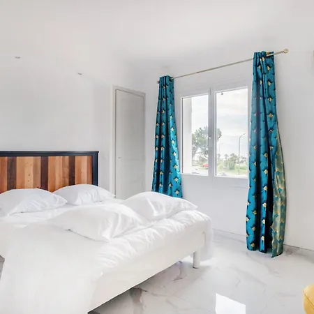 Pet Friendly In Saint-maxime