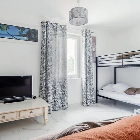Pet Friendly In Saint-maxime